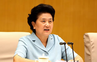 国务委员刘延东出席会议并发表讲话