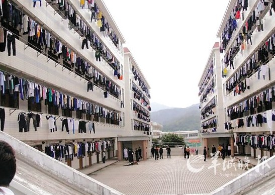 事发中学坦承过于注重学生学习成绩   梅州市大埔县田家炳实验中学男