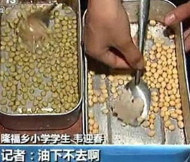 贫困学生在做黄豆蒸饭