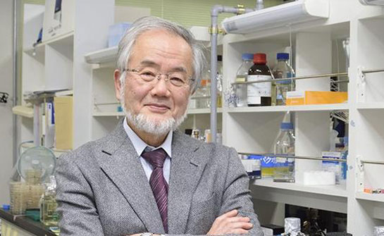 日本科学家获2016年诺贝尔生理学或医学奖