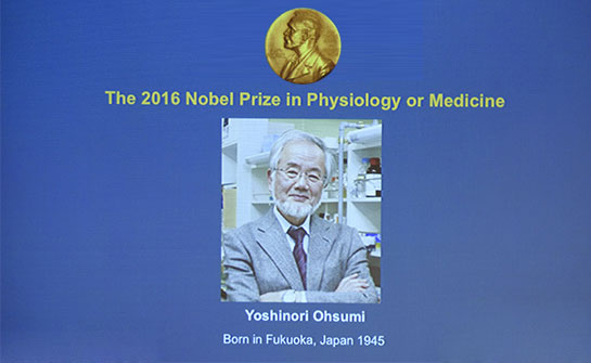 日本科学家获2016年诺贝尔生理学或医学奖