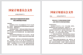 1994年，国家计委批复了“中国教育和科研计算机网CERNET示范工程”建设项目。