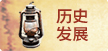 历史发展
