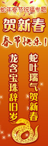 2013年新春祝福专题