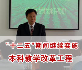 十二五期间继续实施本科教学改革工程