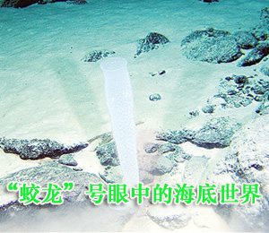 “蛟龙”号眼中的海底世界