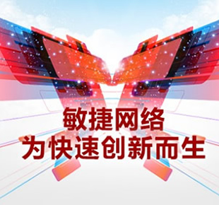 敏捷网络为快速创新而生