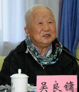 中国科学院院士、中国工程院院士吴良镛