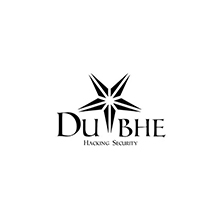 dubhe战队